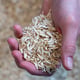 Why Haven’t You Heard of Hemp Hurd? 6 Reasons It’s the Future of Sustainability